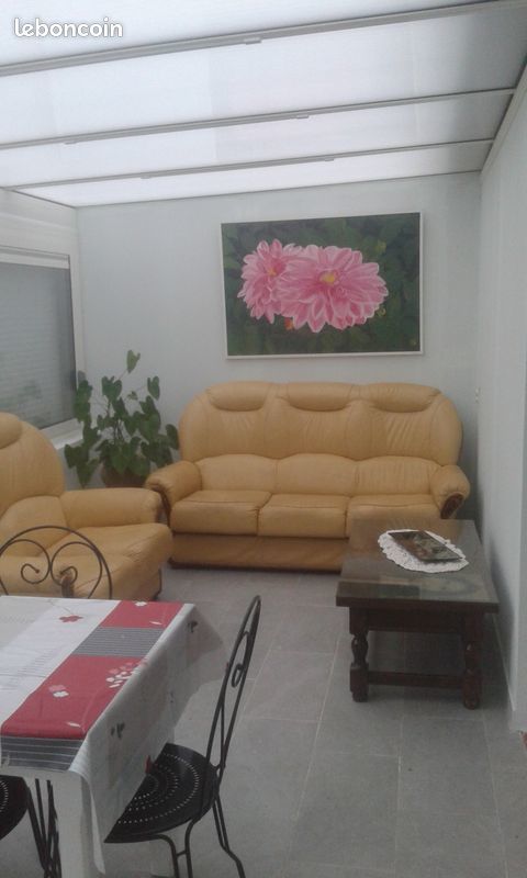 CANAP CUIR 3 ET 2 PLACES 450 Quissac (30)