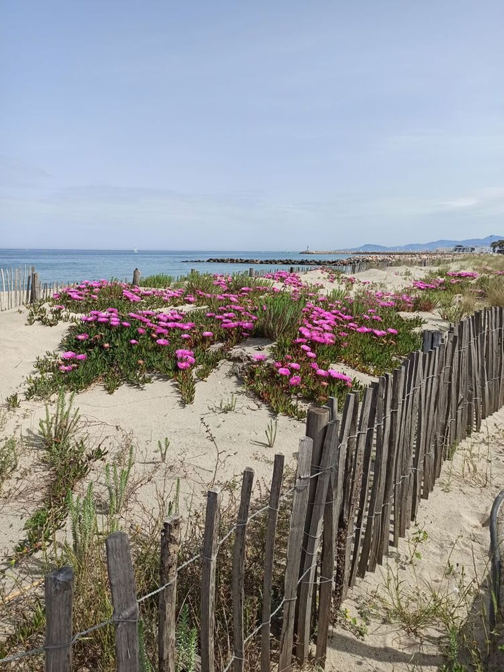   NOUVEAU: 2 pièces sur l'eau,100m plage, calme, jolie vue. Vacances  / Offres de location 