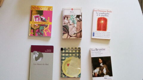 Lots de livres collège, lycée ou fac de lettres 4 Fournes-en-Weppes (59)