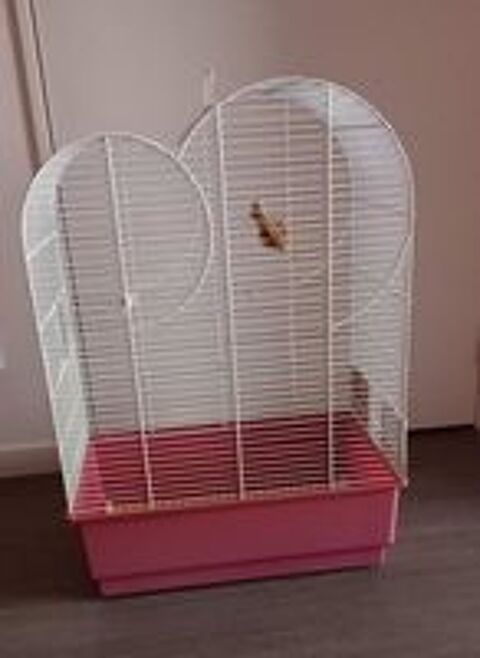   Cage Oiseaux 
