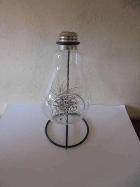 D�coration ampoule (116) 3 Tours (37)