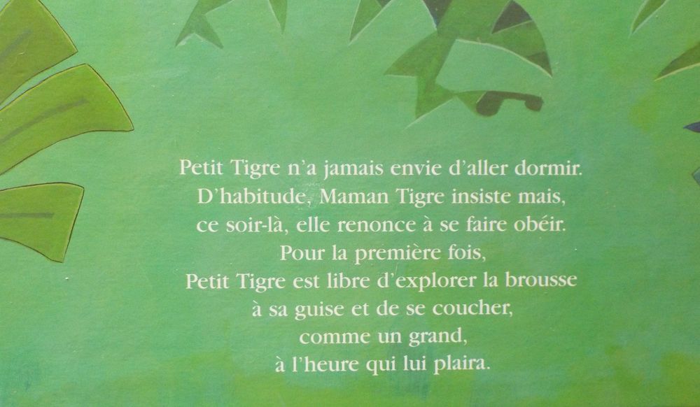 JE NE VEUX PAS ALLER AU LIT ! de J. SYKES et T. WARNES Livres et BD