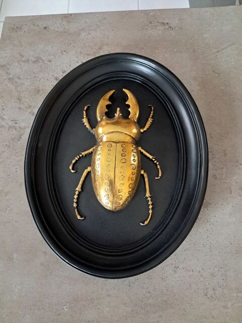 Vent cadre insectes en relief 27 cm x20 cm Riantec (56)