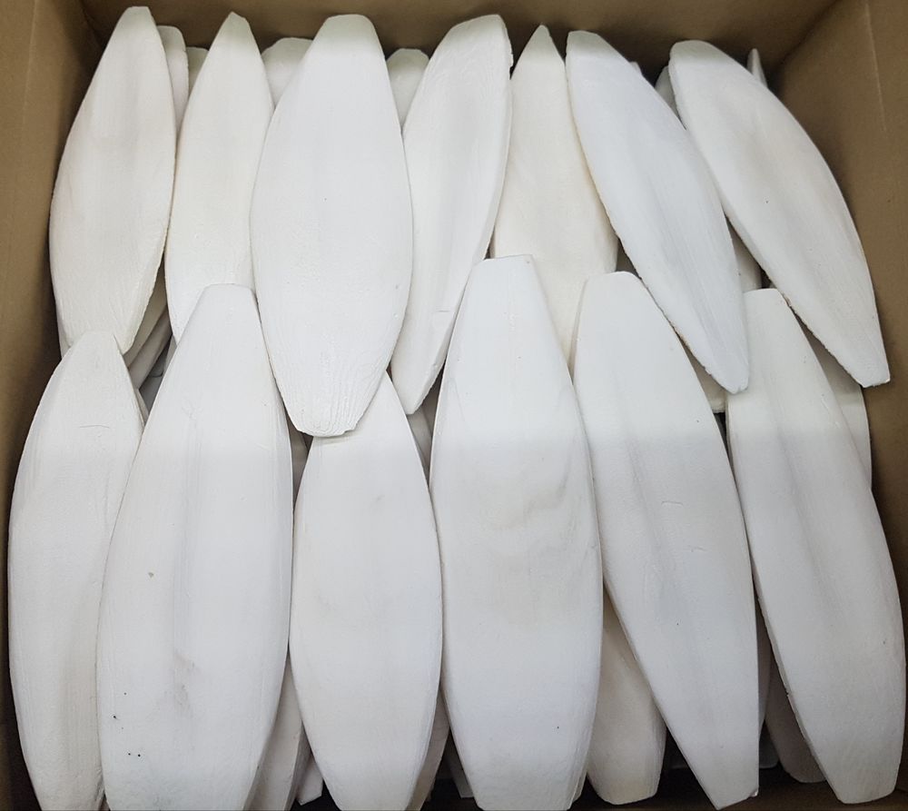   Os de seiche 18-24cm pour oiseaux ou tortues 