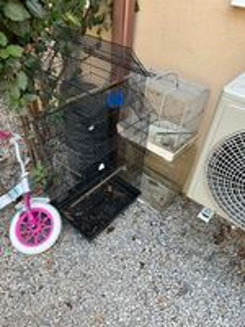   Cages oiseaux 