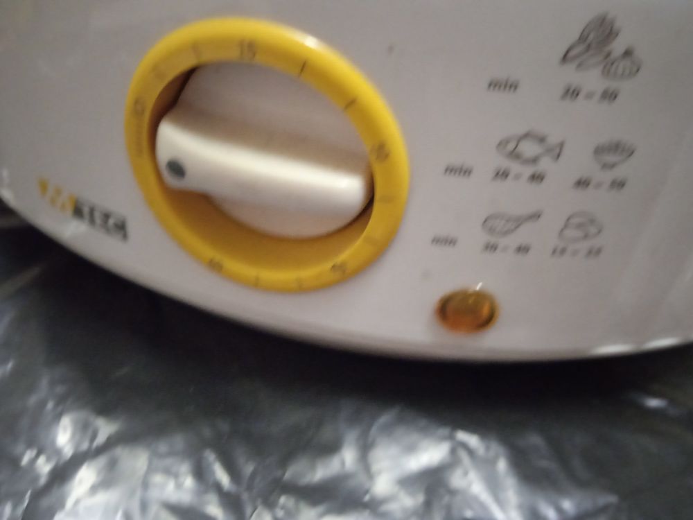 un cuit vapeur &eacute;lectrique Electroménager