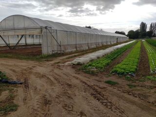  Ferme  vendre 1 pice 5000 m