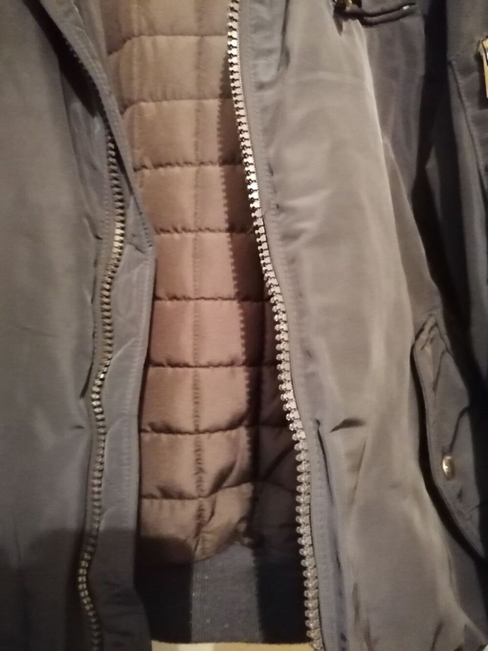 Blouson DEVRED Vêtements