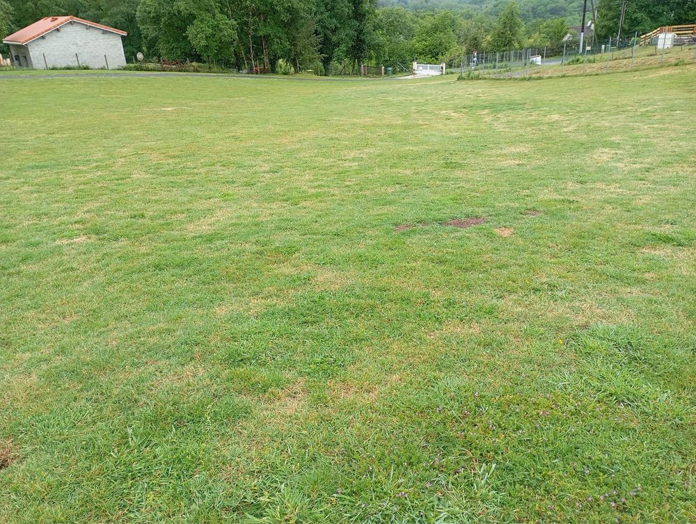 Vente Terrain terrain constructible Compreignac Compreignac