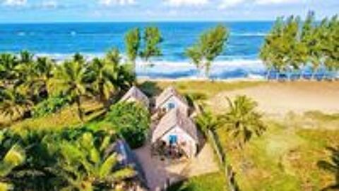   Recherche de g�rant pour domaine � MANAKARA 