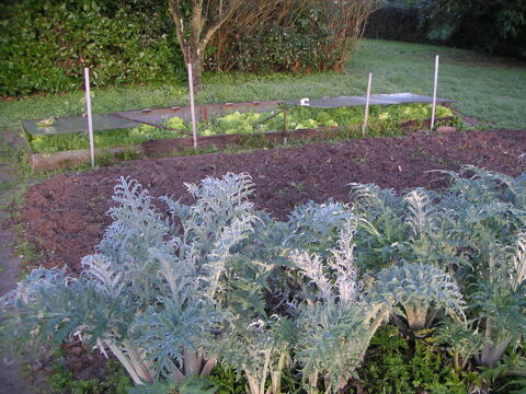 prête jardin potager 0 Saint-Herblain (44)
