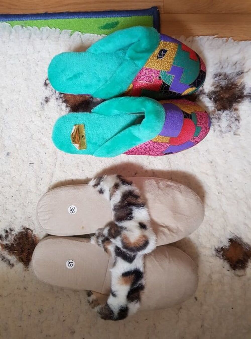 pantoufle Chaussures