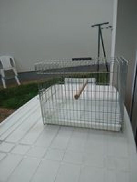   Cage de transport oiseaux 