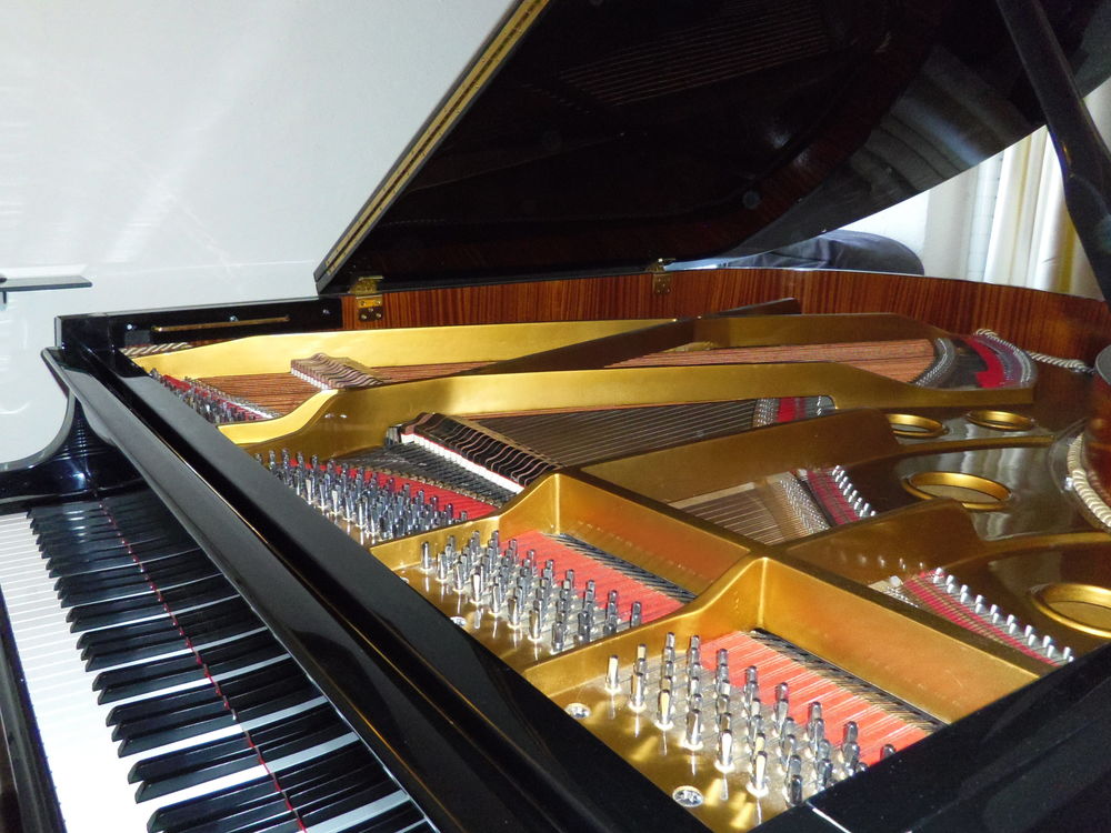 Piano demi queue Instruments de musique