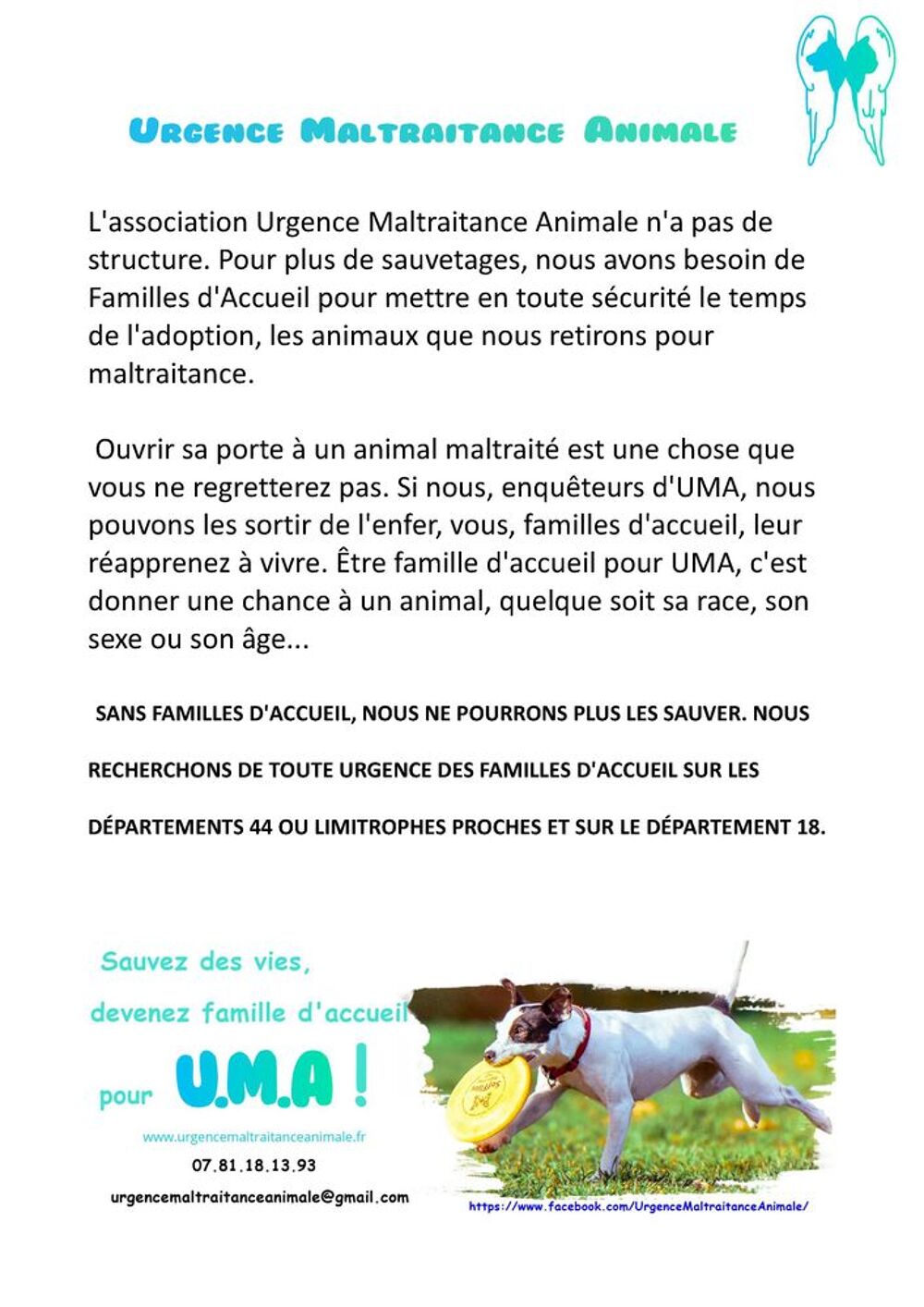   Recherche de familles d'accueil 