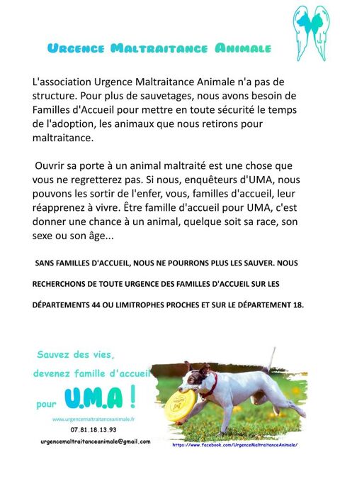 Recherche de familles d'accueil 44000 Nantes