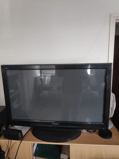 �cran plasma Panasonic 100 Lorient (56)