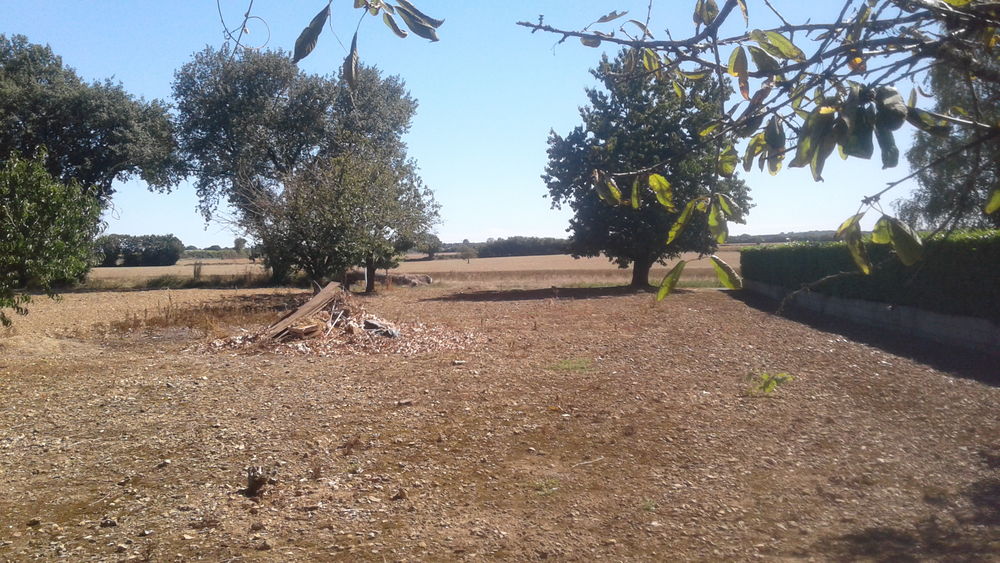 Vente Terrain TERRAIN CONSTRUCTIBLE 910 M² Saint-pierre-d'exideuil