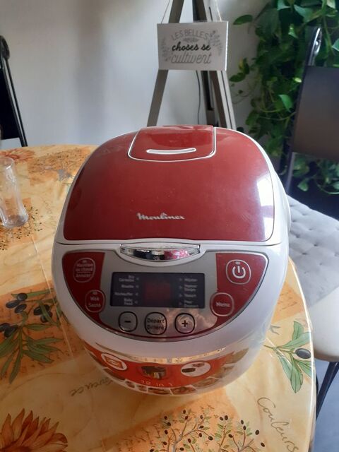 12 EN 1 MULTICOOKER MOULINEX 50 Perpignan (66)