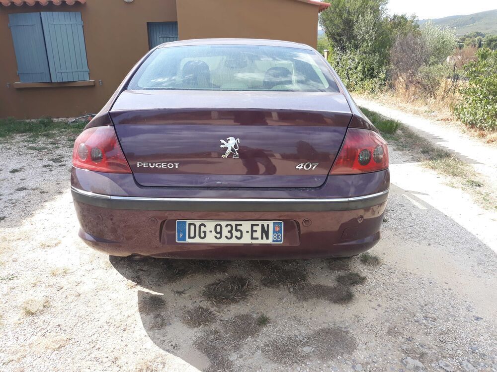 407 2.0 HDi 16v Ex&eacute;cutive Pack FAP A 2005 occasion 83330 Le Castellet