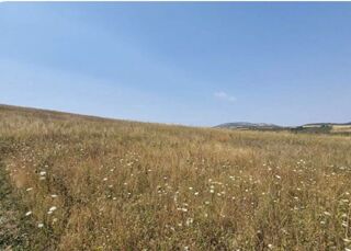  Terrain  vendre 990 m Champeix