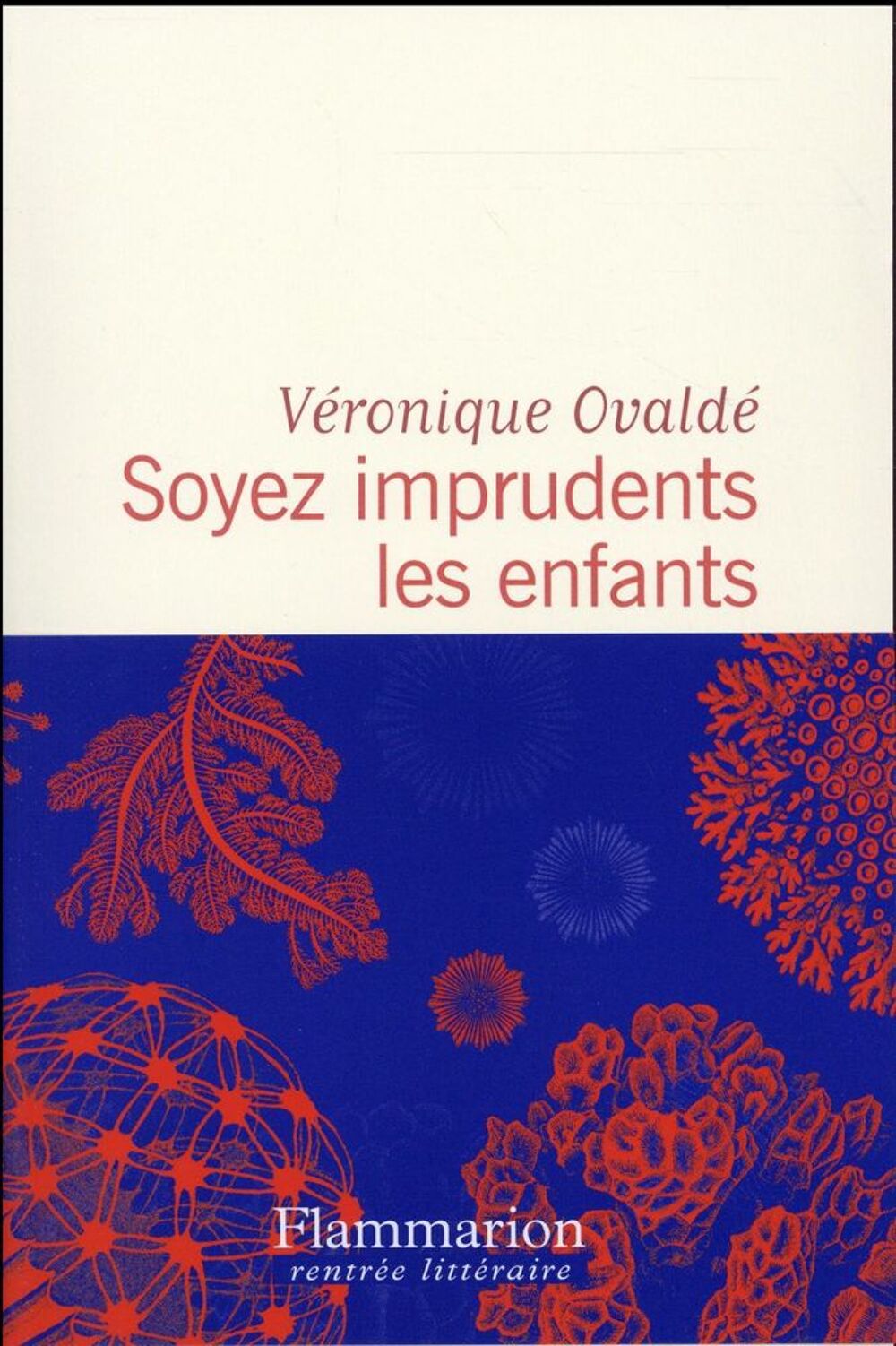 Soyez imprudents les enfants Livres et BD