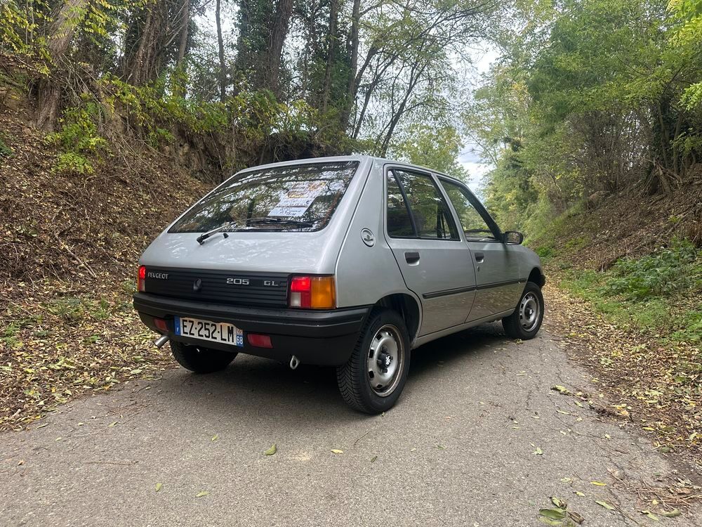 205 1.1 GL 1985 occasion 68510 Sierentz