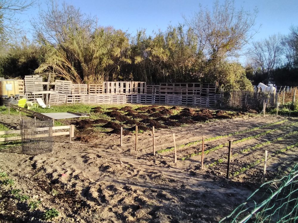 Vous avez du fumier de cheval en trop? Jardin