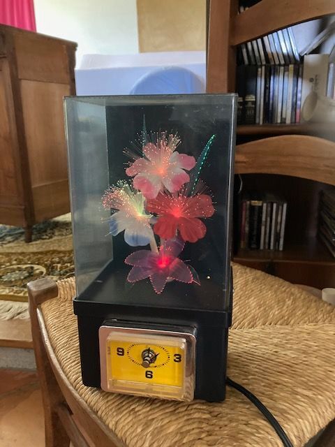 HORLOGE LUMINEUSE 10 Bonrepos-Riquet (31)