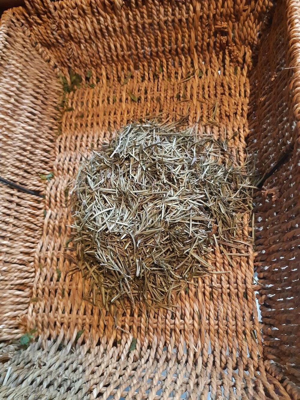 Tisane de feuilles de romarin 50g Jardin
