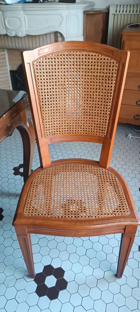 Table 8 couverts + 6 chaises Louis XV faits par un bniste 3500 Montussan (33)