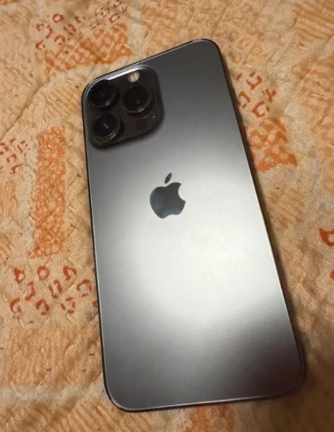 iPhone 13 Pro 256 gb 340 Lyon 2 (69)