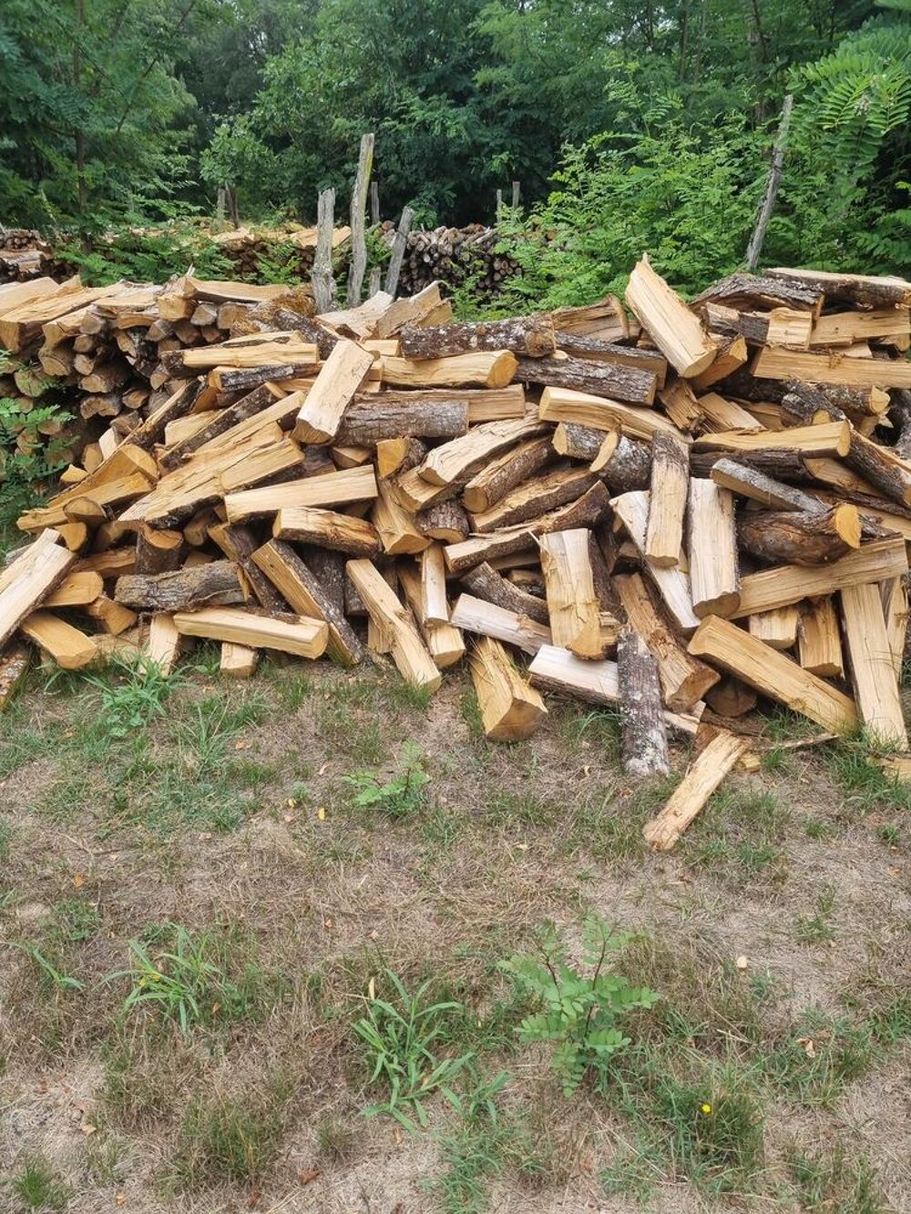 Bois de chauffage Jardin