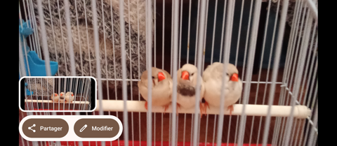 J'ai lot de trois mandarin a 60� 60 75019 Paris