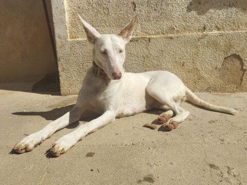 NUT🩷  jeune maman courage et si c'&eacute;tait son tour ? 🍀🍀 315 24140 Douville