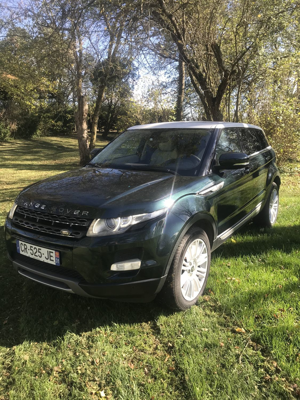 Range Rover Evoque TD4 Prestige A 2013 occasion 31540 Saint-F&eacute;lix-Lauragais