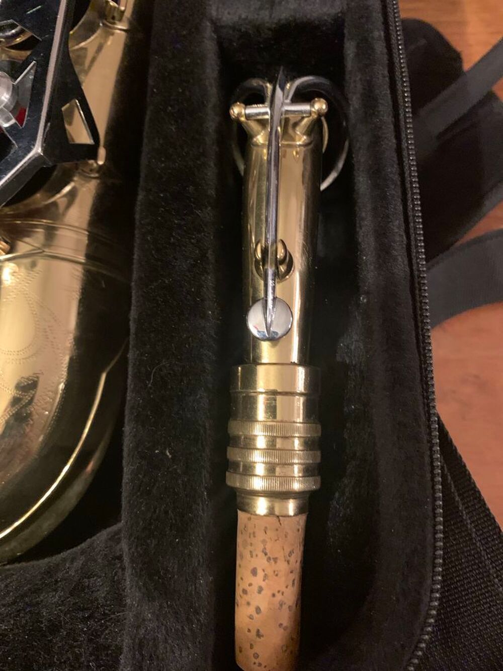 saxophone alto Dolnet Instruments de musique
