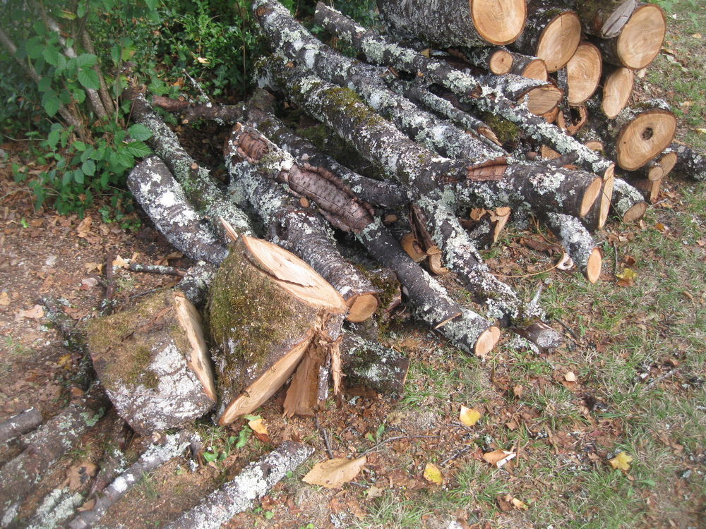 bois de chauffage Jardin