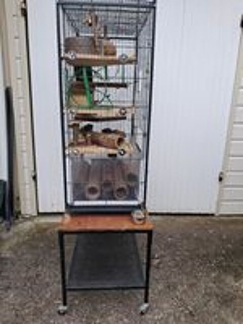   Cage pour gerbilles 