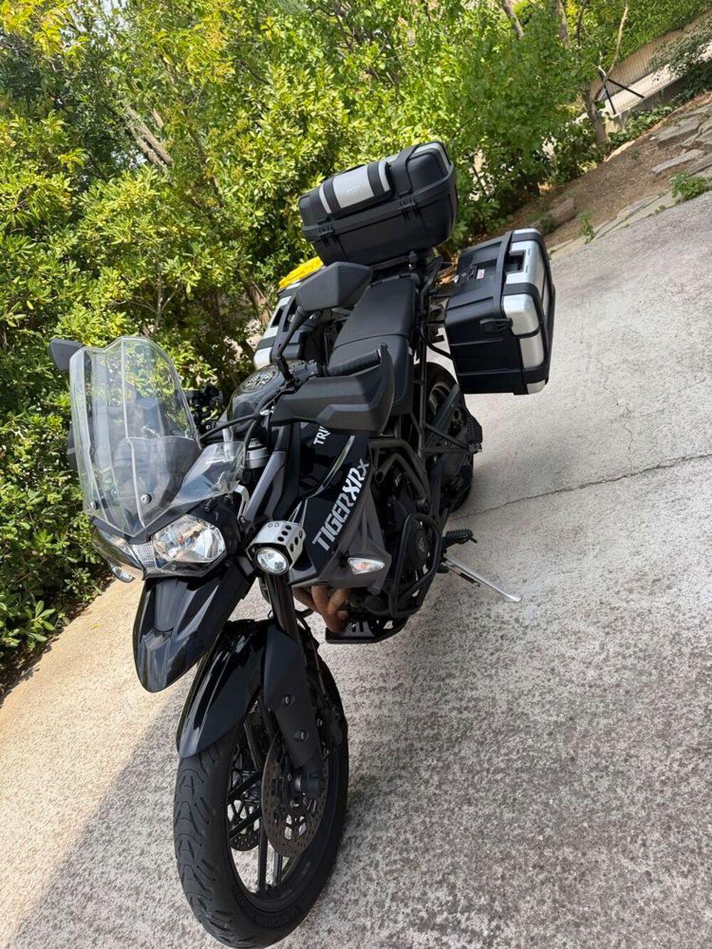 TRIUMPH 2015 occasion 34000 Montpellier