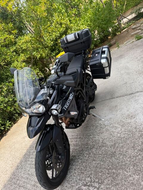 Moto TRIUMPH 2015 occasion Montpellier 34000
