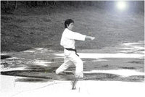   Cours de Karate Do Zen - Kenjutsu Paris sud 