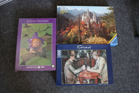 puzzles complet 9 Saint-Léger-du-Bourg-Denis (76)