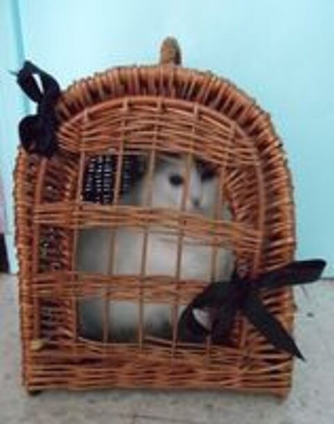   Panier transport de chat 