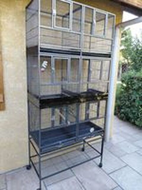   Grande cage  
