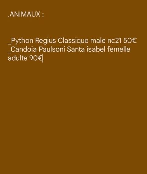 Serpent python et boa 1 66000 Perpignan