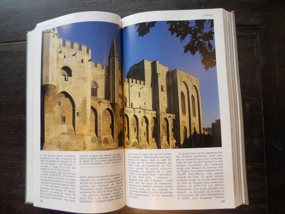 GUIDES DELPAL PROVENCE. Camargue/ Comtat Venaissin 1987 Livres et BD