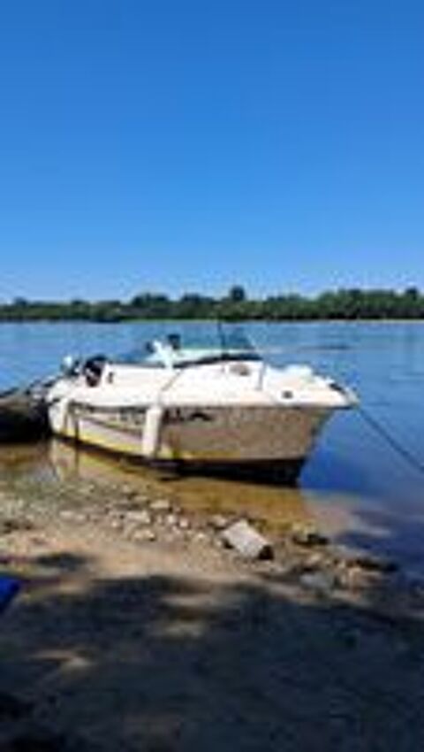 Bateau fluvial 2000 occasion 49120 Chemill&eacute;
