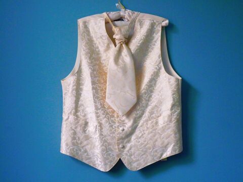 Gilet de costume + lavallière homme ensemble maiage L 42 cha 25 Brienne-le-Château (10)