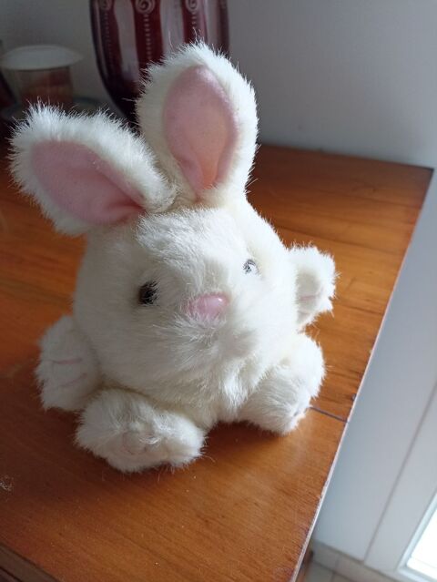 Petit lapin blanc 5 Hyres (83)